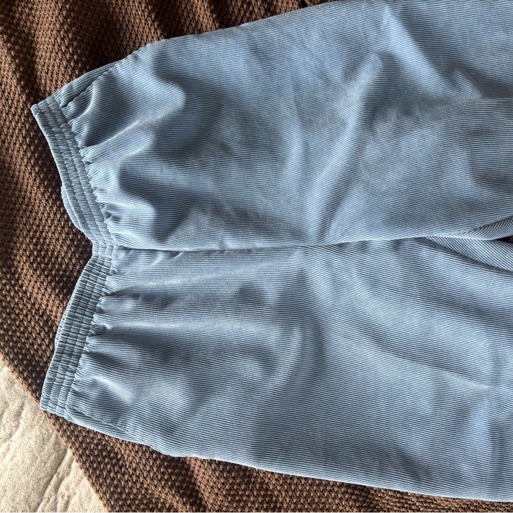 Alfred Dunner Light Blue Textured Pants
